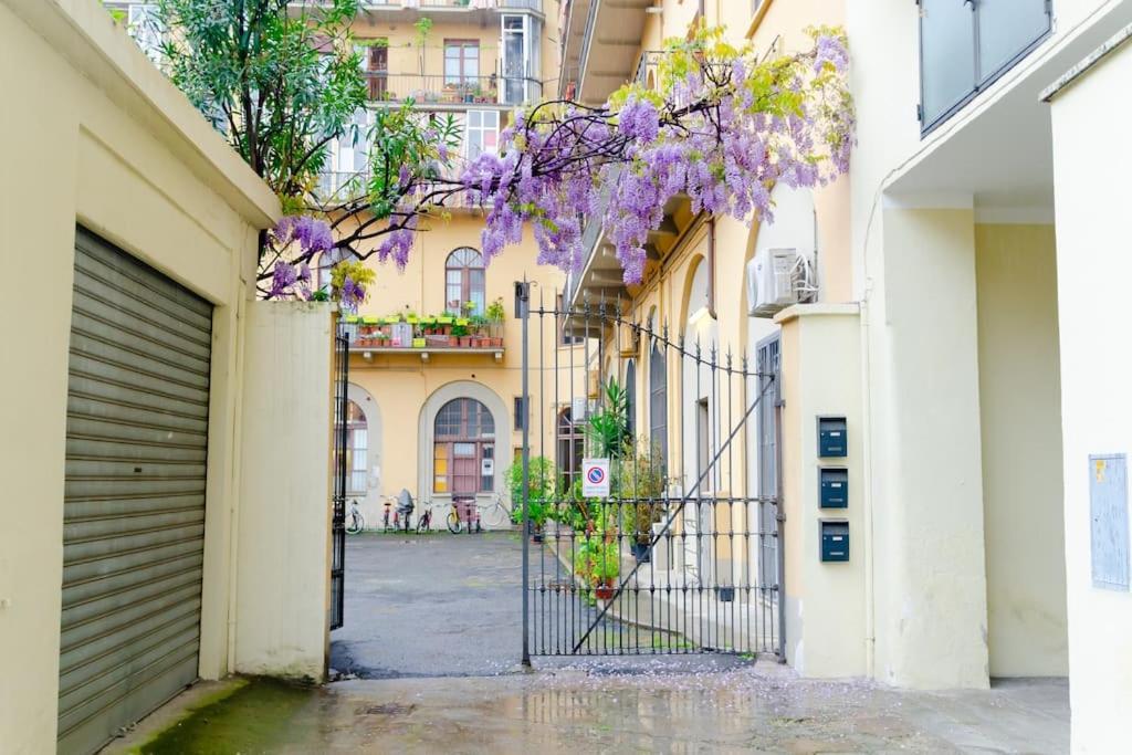 La Casa Di Ava, Chia E Luna